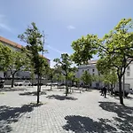 Opo Domus